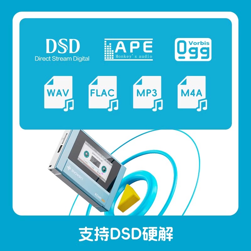 Audio Music Free Mp3 - FiiO SnowSky ECHO Lossless MP3 Player