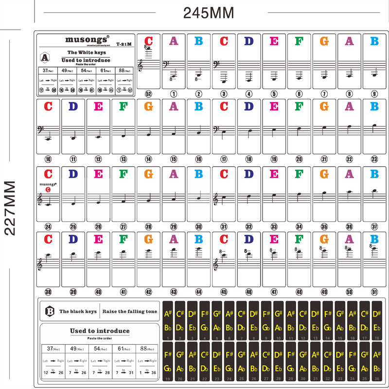 Transparent Piano Keyboard Sti - Keyboard Piano 61 Key avaliação e preço